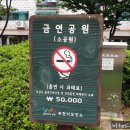 내촌어린이공원 네이버블로그