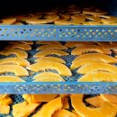 건희농장 이미지