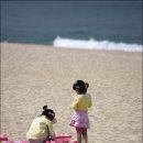 경포의휴일 이미지