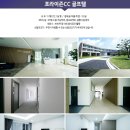 포라이즌 티스토리