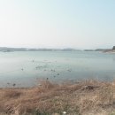 호박관광클럽 이미지