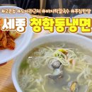청학동 손칼국수 | 세종 바지락칼국수 맛집 고운동 청학동 냉면