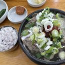 제주은희네해장국의왕포일점 이미지