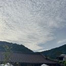 펀한노리터 | 담양 펀한노리터 1호점 독채 후기 : 전통한옥 개조한 광주 근교 촌캉스