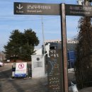 연강나룻길 C코스 | 241213_연천 연강나룻길의 두루미(군남홍수조절지~여울길~개안마루~현무암지대)
