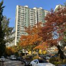 장자마을 | 구리 장자마을 임장 후기(수택 2구역 재개발)