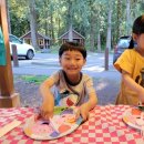 레드디어 이미지