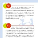 보림인형극장 네이버블로그