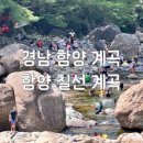 청계마을민박 | 경남 함양 계곡, 함양 칠선계곡 상세 후기