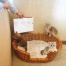 부산뱅갈하우스 이미지