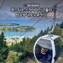 호수멍 | 퀸즈타운 스카이라인 곤돌라 와카티푸 호수뷰 후기