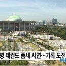 태극 태권도 이미지