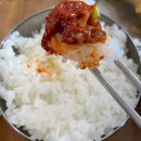 한씨네 대가추어탕 | 익산 황등맛집 한씨네대가추어탕 추어탕+공기밥+추어통고추튀김+어리굴젓이 만원이라뇨..(?)😍