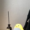 피아노;흐름 이미지