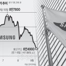 안일전자 이미지