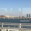 호스텔 데이 | 조선 아트스페이스 전시 쓰다 이중섭 관람 후기, 이태원 H 호스텔 1인실 내돈내산, 신사 르브런쉭 재방문