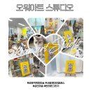 그림 원데이클래스 상봉역 성인 미술학원 오워아트스튜디오 반려묘 아크릴화 그리기