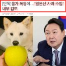 윤석열 정부의 물가 안정 정책 수준 이미지