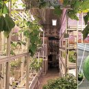 기지농장 이미지