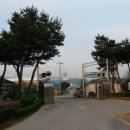 대마초등학교 이미지