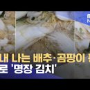 한성광고기업 이미지