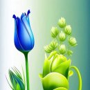 행복한아침 이미지