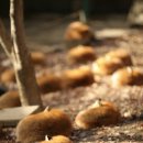 어느멋진날에 1 이미지