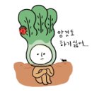 캘리포니아관광호텔 이미지