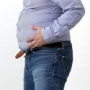30년만의 비만약의 정체는 2형 당뇨병용 주사약…11월22일부터 공적보험의 대상 이미지