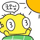 대천스토리 이미지