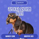 인동동물병원 이미지
