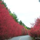 탐라대학교 이미지