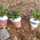 임피농장 이미지