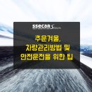 쌔카스팀세차 이미지
