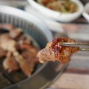 사브로소인제주 이미지