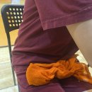 정원해수피아 이미지