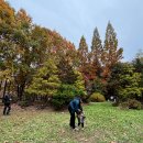 GS25 인천광장 | 가족과 11월 서울근교 주말 나들이 - 인천대공원