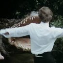 플래시드인 이미지