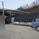 양동농원