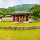 이치비 이미지