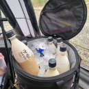더빌리지 캠핑장 1박2일 강풍 속 우중캠🏕