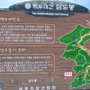 가매 이미지