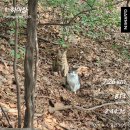 한마음 의료기 | 영통 쥬비스 1주차 관리 후기 - 삼시세끼 다 먹으면서 하는 다이어트