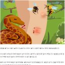 상황별 잘못된 응급처치, 올바른 대처법 이미지