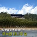 담양체육관 | 겨울 담양 가볼만한곳 죽녹원 | 입장료 · 카페전망대· 주변맛집추천