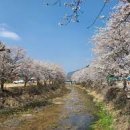 자연친화코스2 이미지