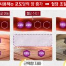 으뜸경락 이미지