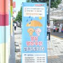서대전역관광안내소 | 대전 꿈돌이하우스 굿즈 여행자 쉼터 트래블라운지 대전역 가볼만한 곳