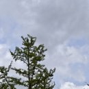 테크노밸리길 | [판교 맛집] 타코 익스체인지_판교 테크노밸리 점심 추천, 솔직 후기