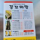 꽁꼬미 맘 이미지